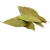 Bay Leaf Biryani Leaf Kerala Biryani Leaf Tej Patta Premium Whole Spice Natural Aromatic Spice by InfiniGoal