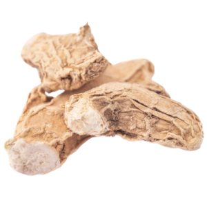 Kerala Dried Ginger 50g premium sukku online Chennai