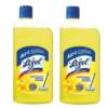 Lizol Citrus Floor Cleaner Liquid Combo Pack 2x625ml Disinfectant Surface Cleaner