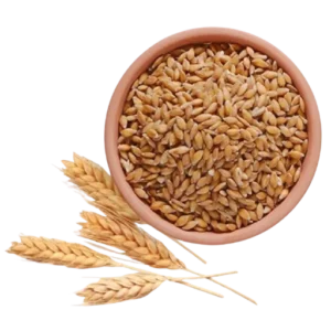 Premium Raw Kothumai Whole Wheat 1kg Fresh Wheat Grains