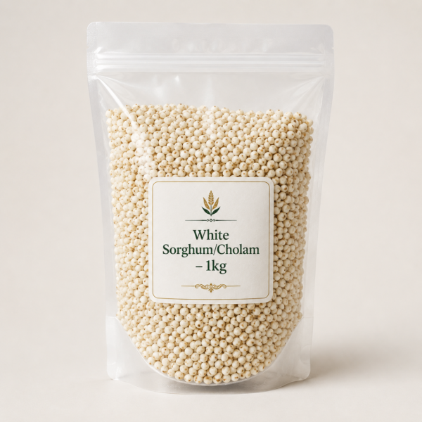 Sorghum White Sorghum Cholam Premium Sorghum Grain Natural Sorghum Healthy Grains Traditional Millet by InfiniGoal