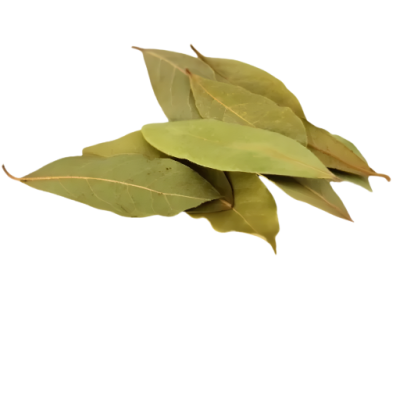 Kerala Biryani Leaf 10g premium bay leaf online Chennai
