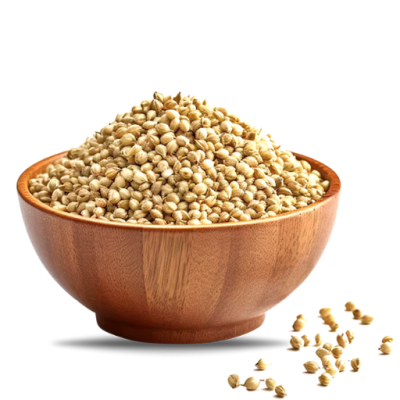 Coriander