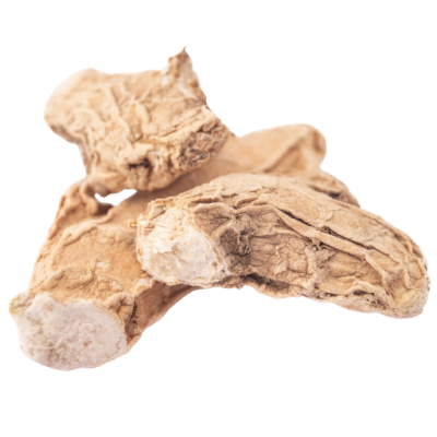 Kerala Dried Ginger 50g premium sukku online Chennai