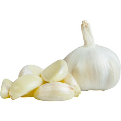Fresh garlic bulbs for Indian cooking