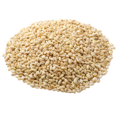 Premium Barley Seeds 200g Whole Grain Rich in Fiber for Healthy Cooking