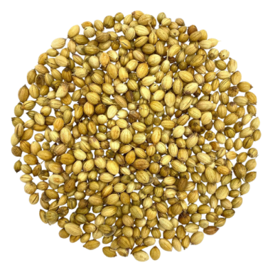 Whole coriander seeds